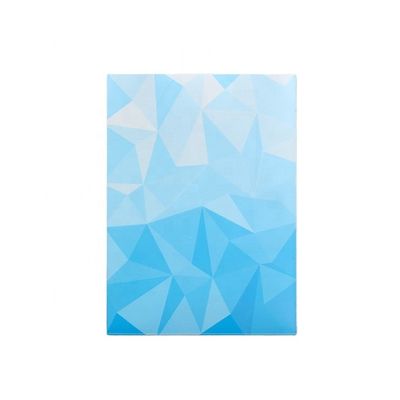 الطباعة الرسومية بطاقات مخصصة 66x91 66x92 لحماية الحمض خالية من PVC خالية